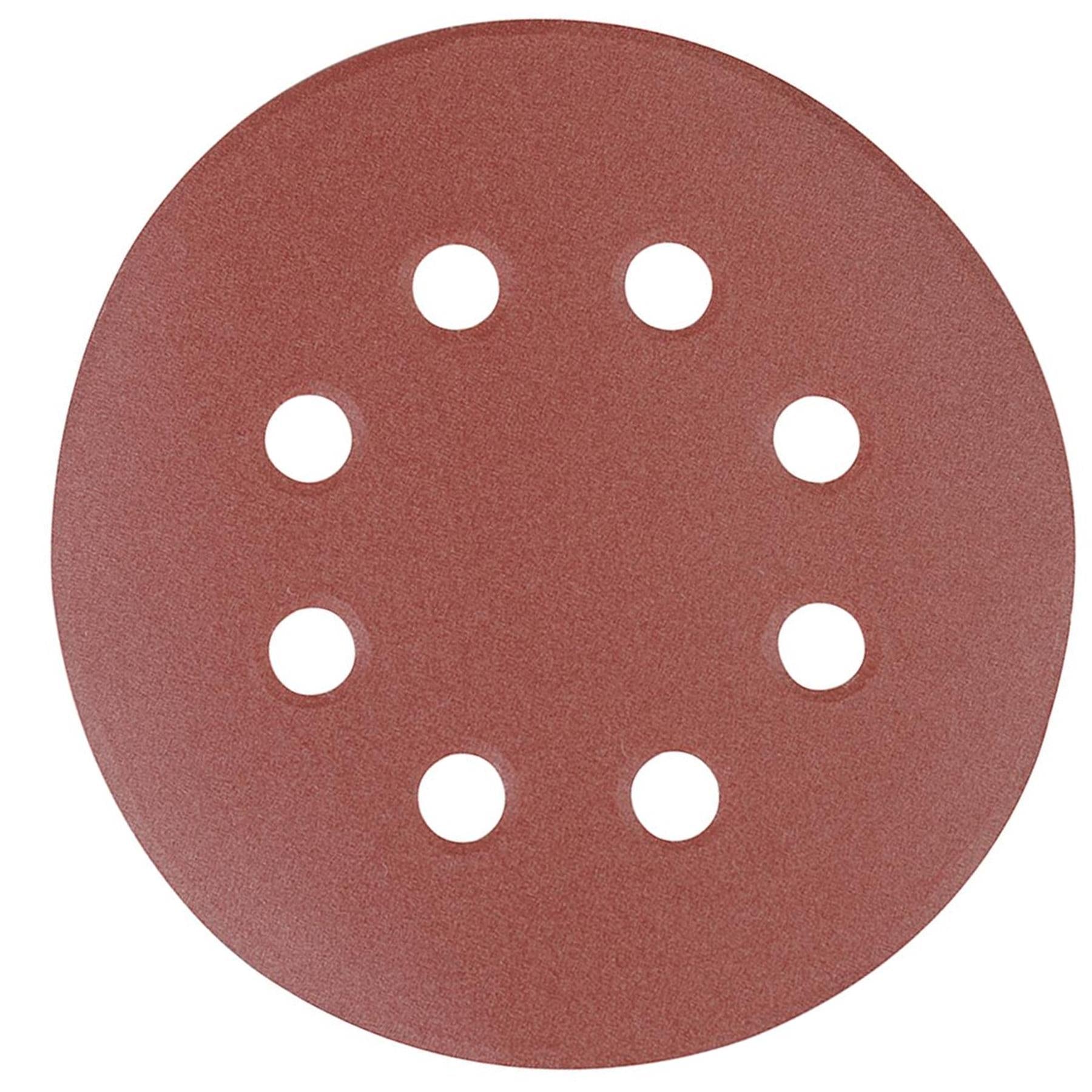 Punched Sanding Discs 125mm 10Pk Grit 40 Hook & Loop Aluminium Oxide DIY