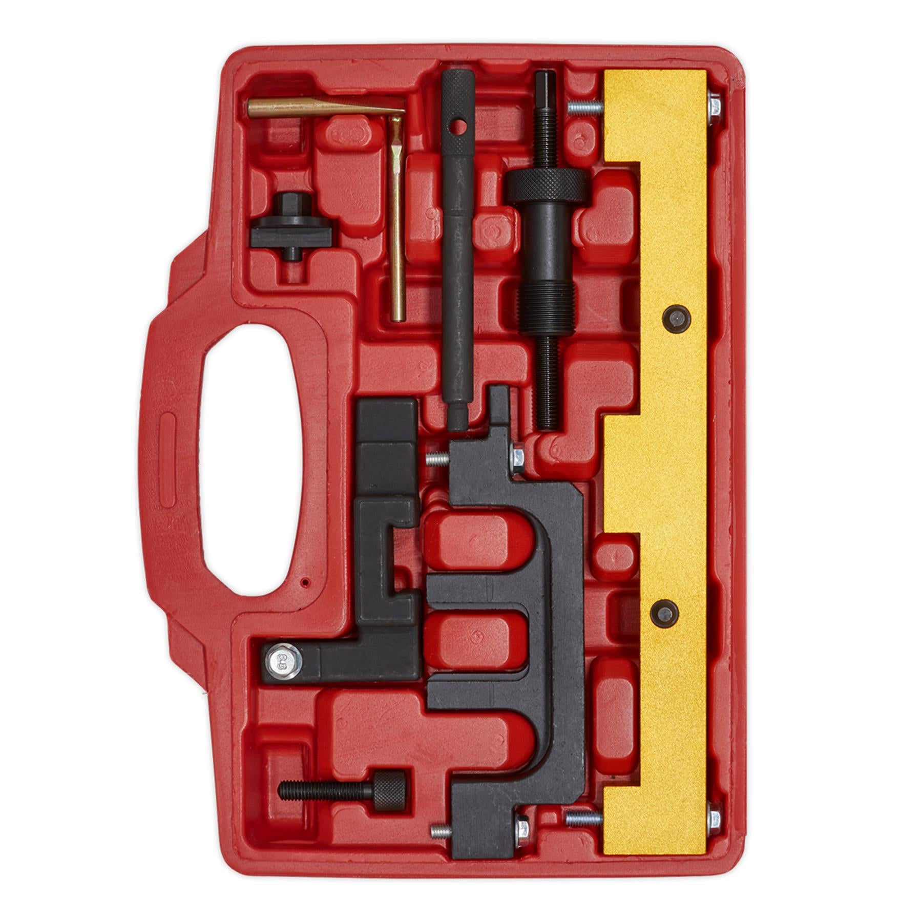 Sealey Petrol Engine Timing Kit - BMW 1.8, 2.0 N42/N46/N46T-Chain