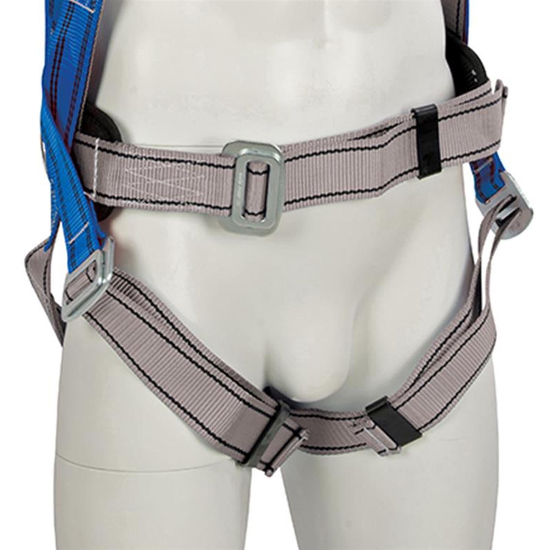 Safety Harness + Lanyard Restraint Kit & Bag Karabiners Lanyard