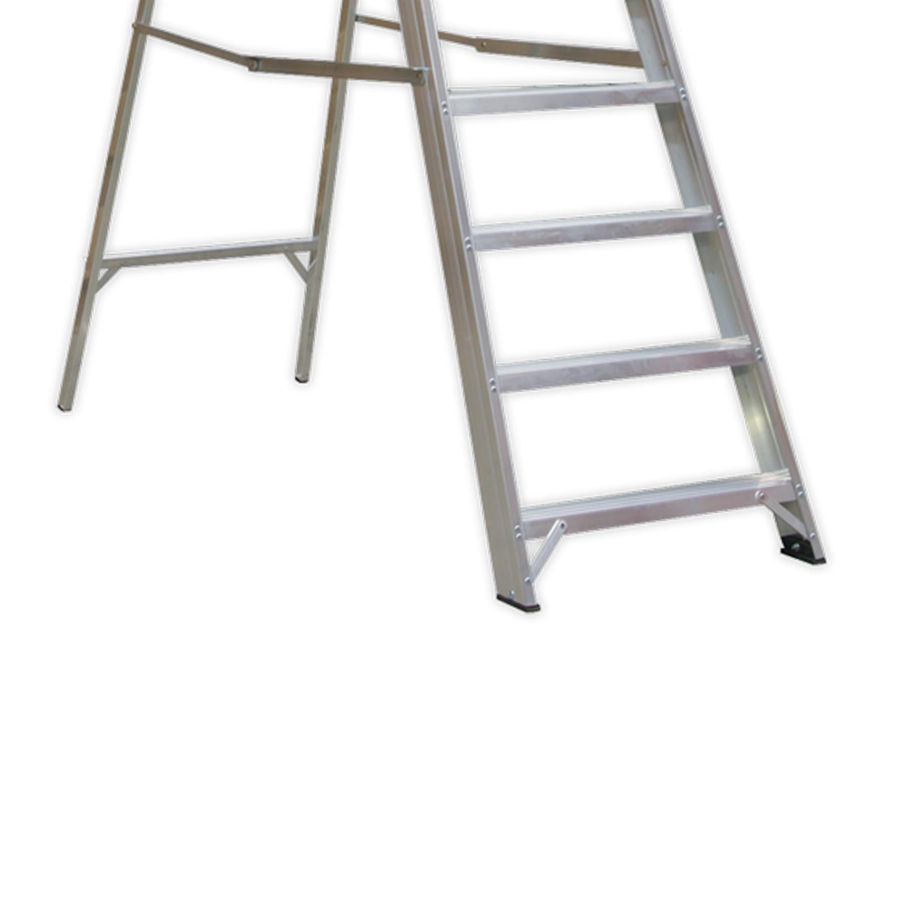 Sealey Aluminium Step Ladder 10-Tread Industrial BS 2037/1