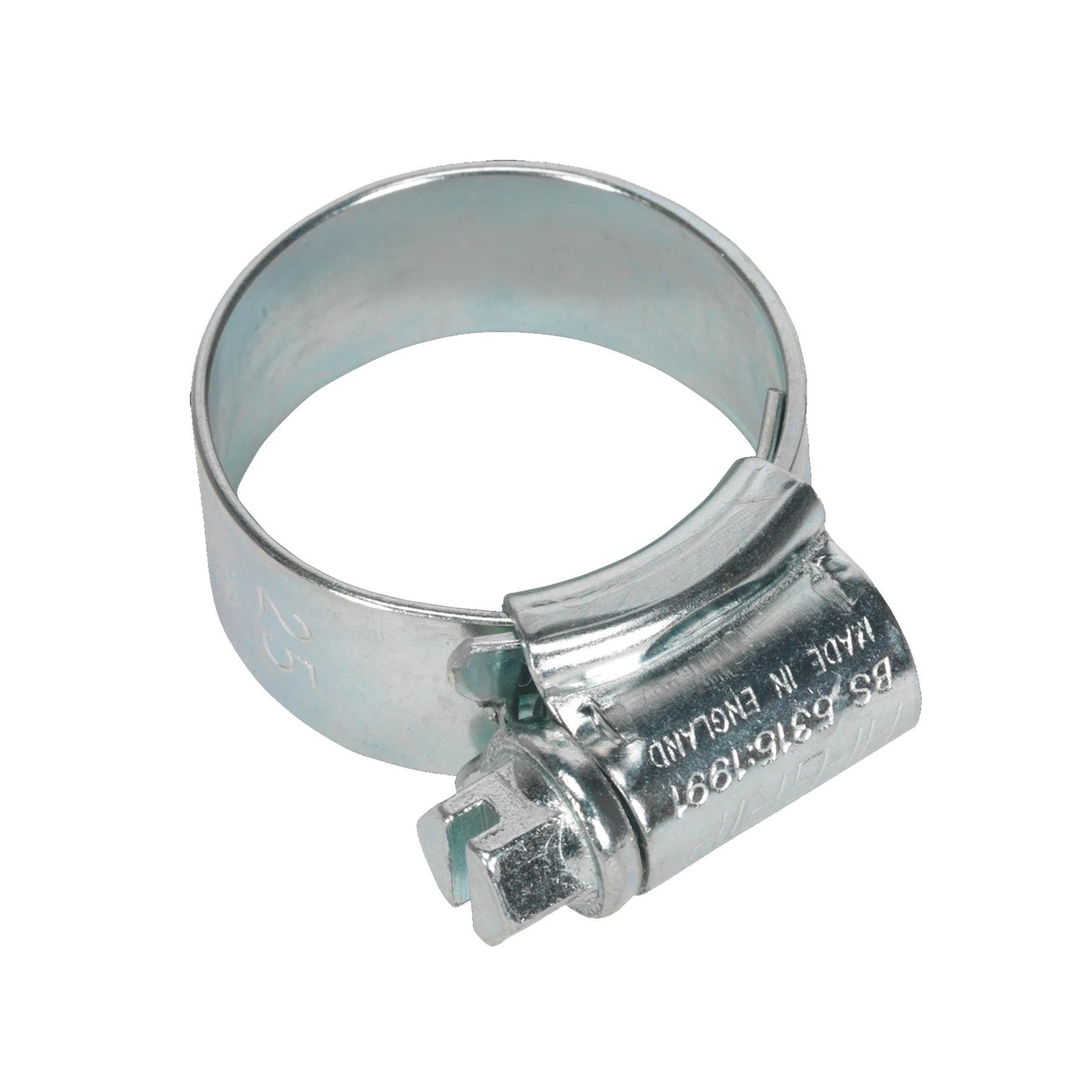 Sealey HI-GRIP Hose Clip Zinc Plated �17-25mm Pack of 20