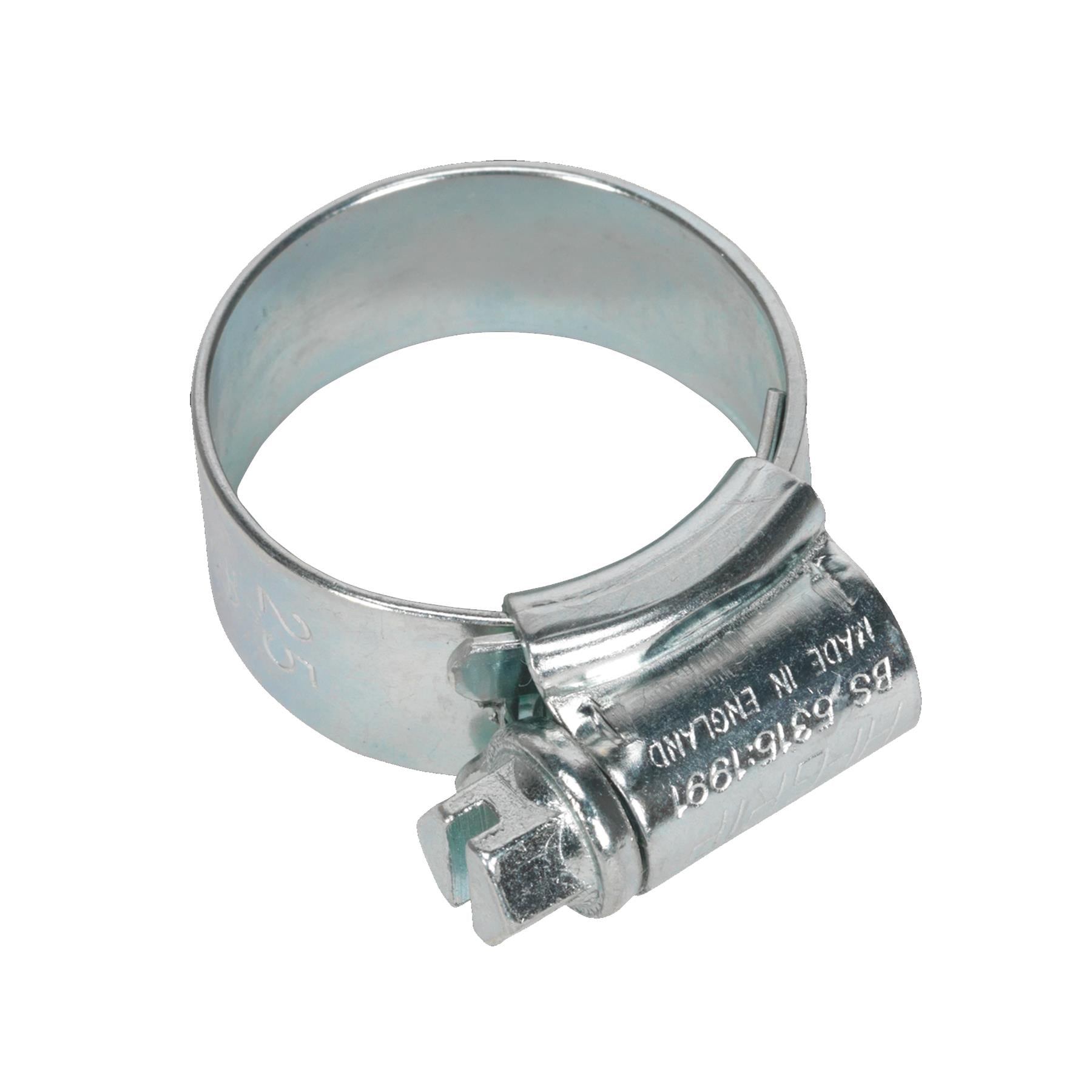 Sealey HI-GRIP Hose Clip Zinc Plated �17-25mm Pack of 20