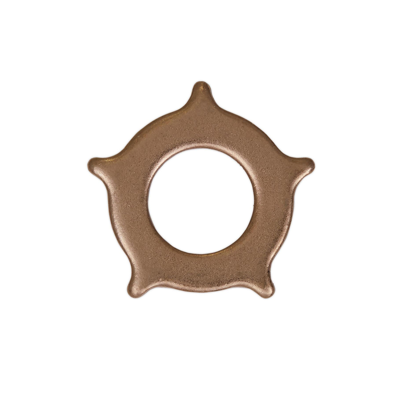 Sealey Star Washer For Model No. SR2000 Pack of 10