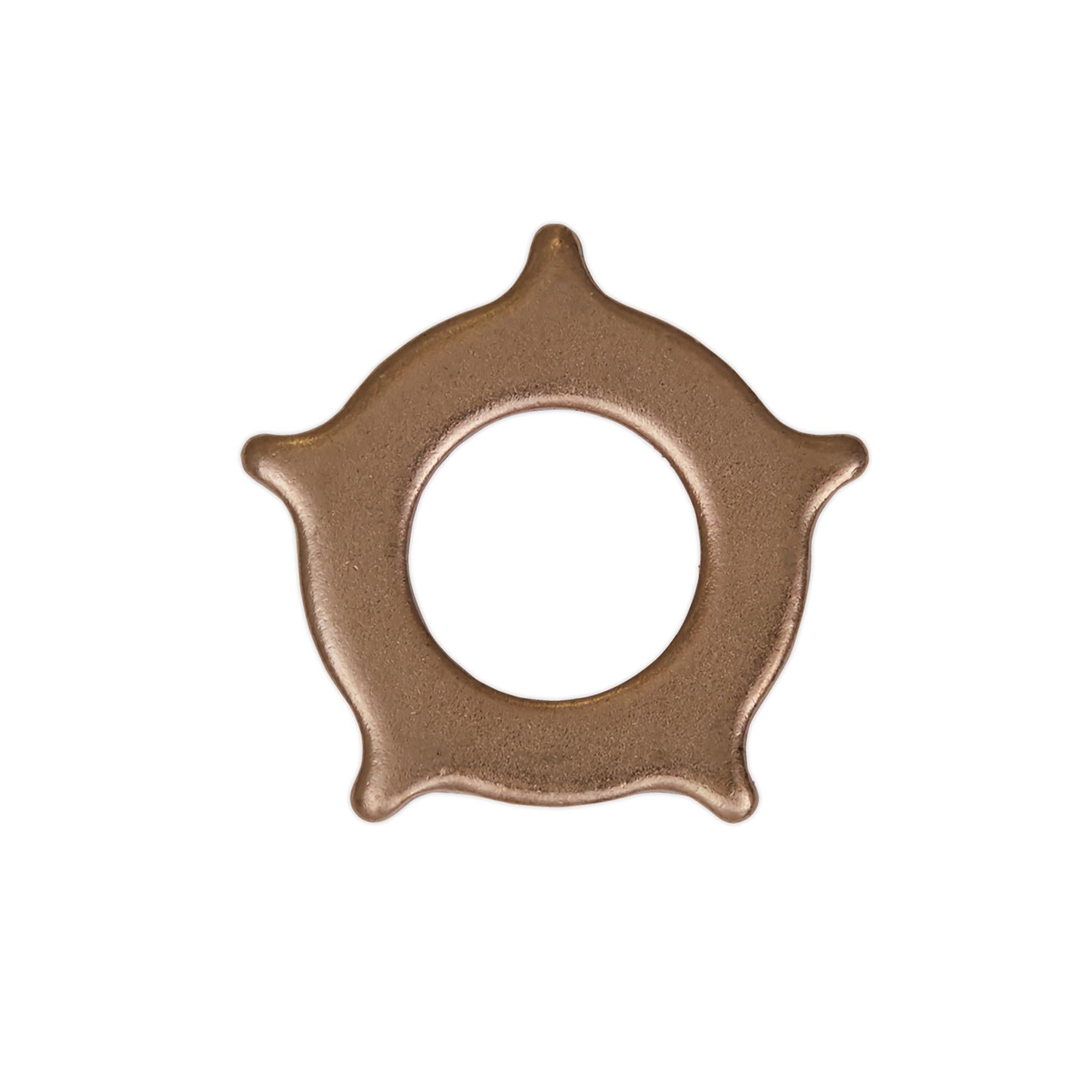 Sealey Star Washer For Model No. SR2000 Pack of 10