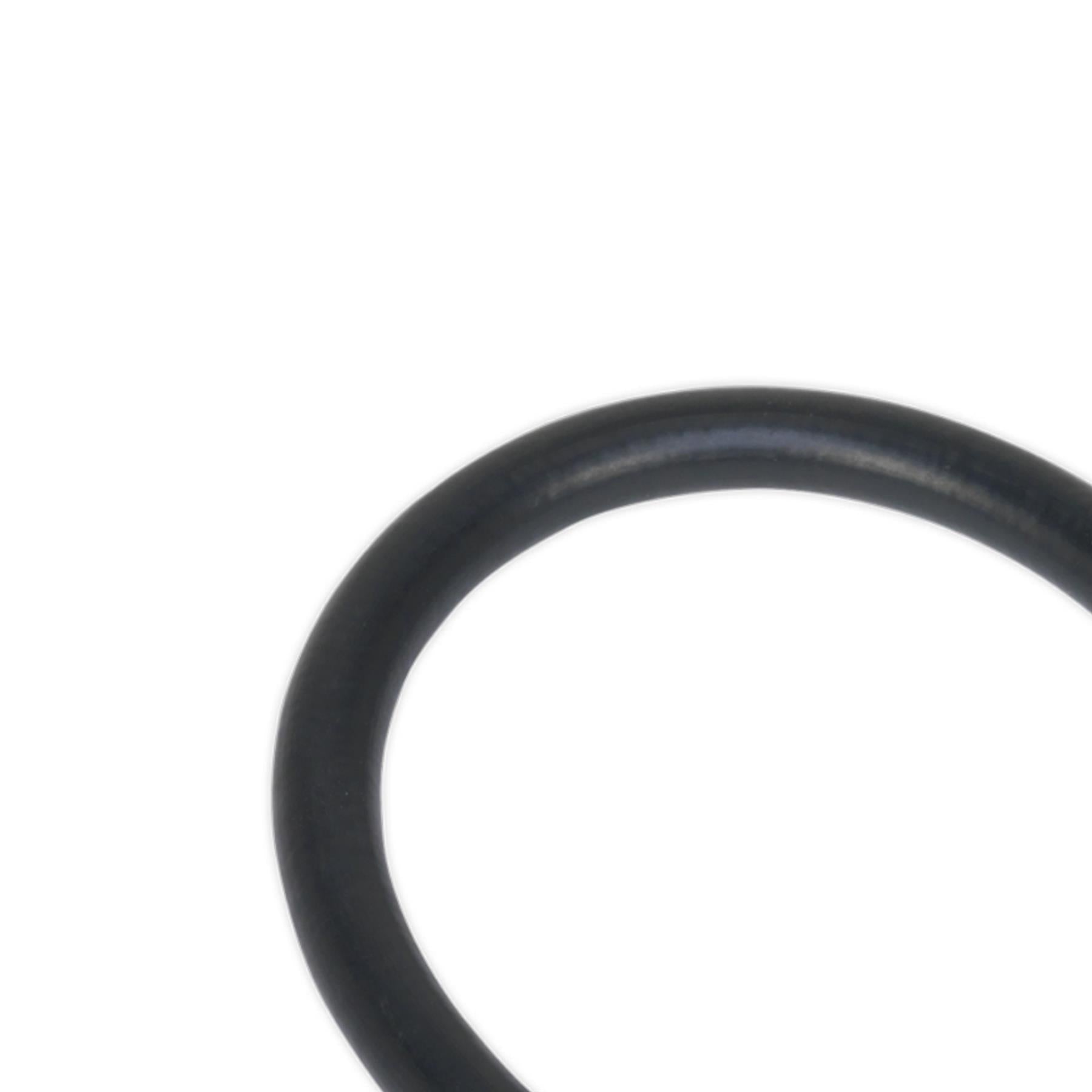 Sealey Rubber Del Hose with 4-Jaw Connector Flex 300mm 1/8"BSP Gas