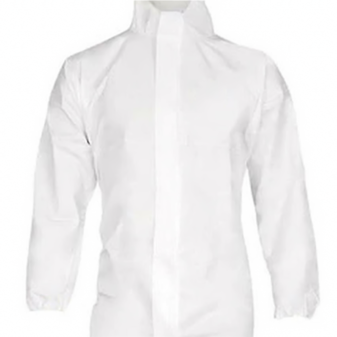 Size Large 