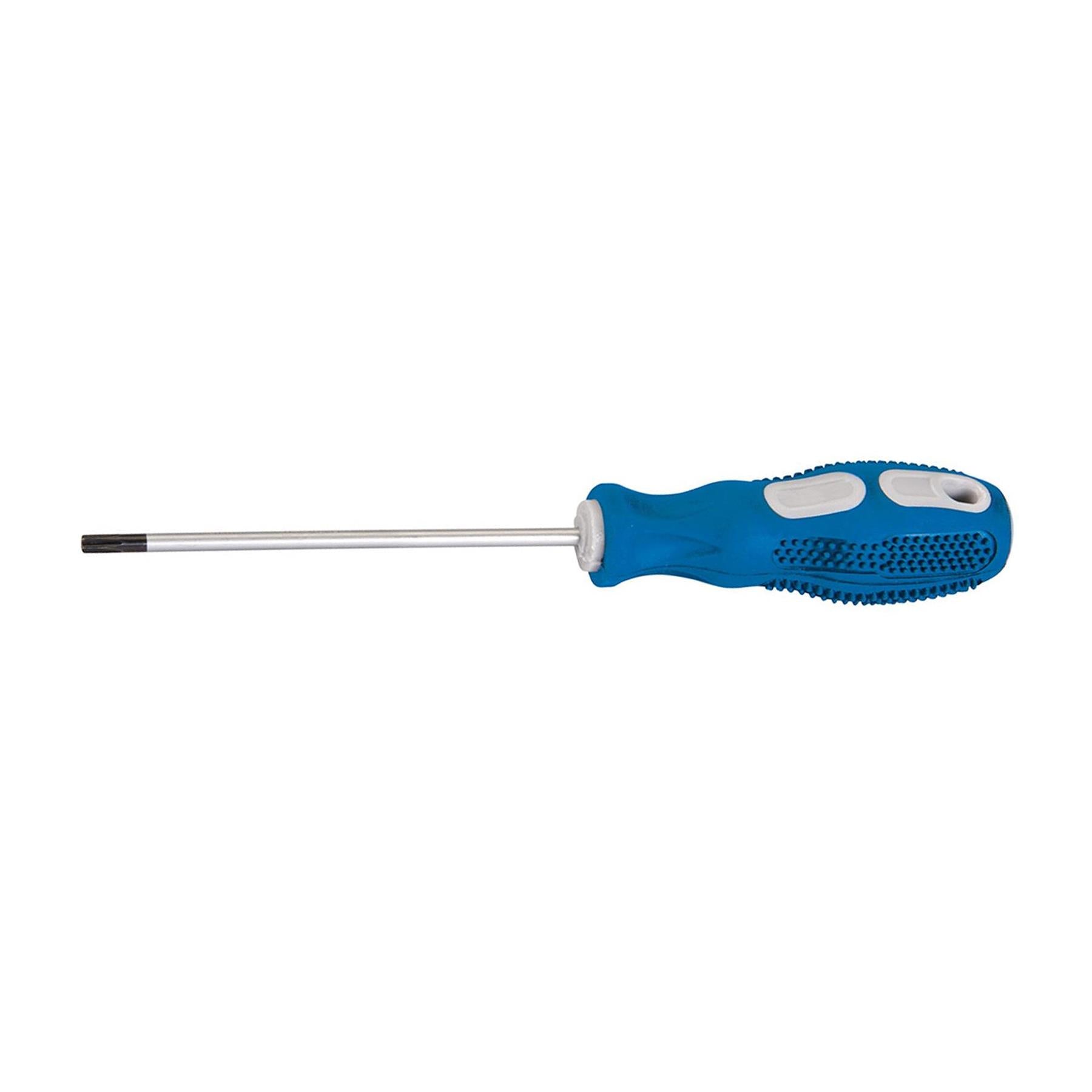 General Purpose Screwdriver Torx - T20 X 100mm Chrome Vanadium Tempered Blade