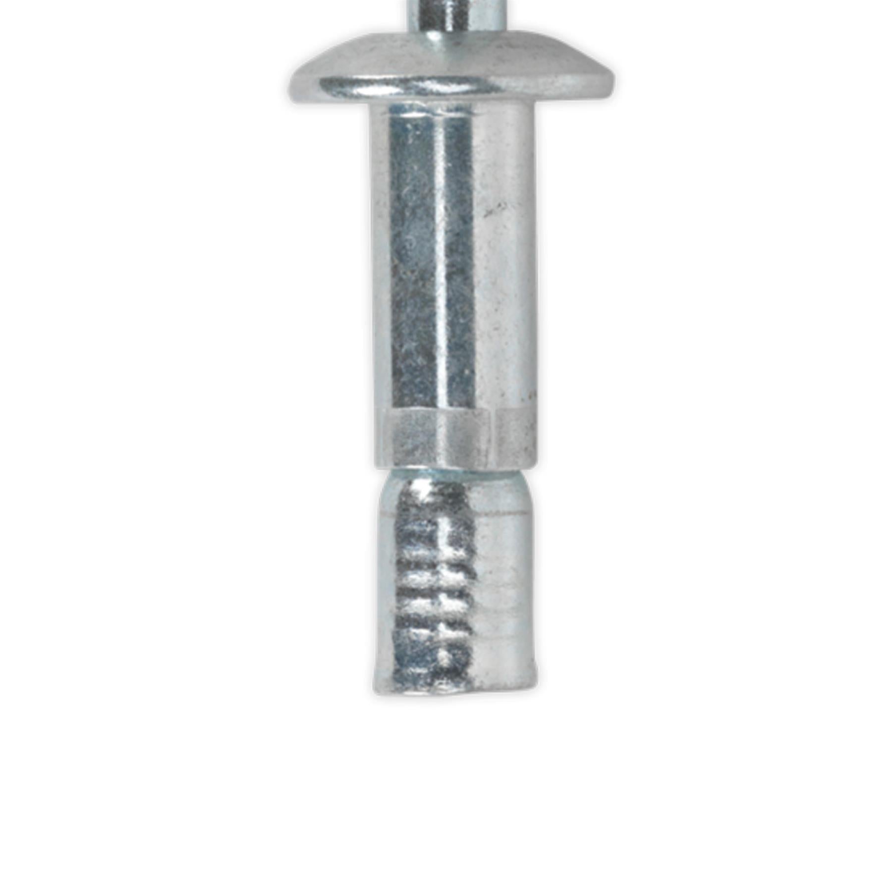 Sealey Steel Structural Rivet Zinc Plated 6.3 x 32mm Pack of 100