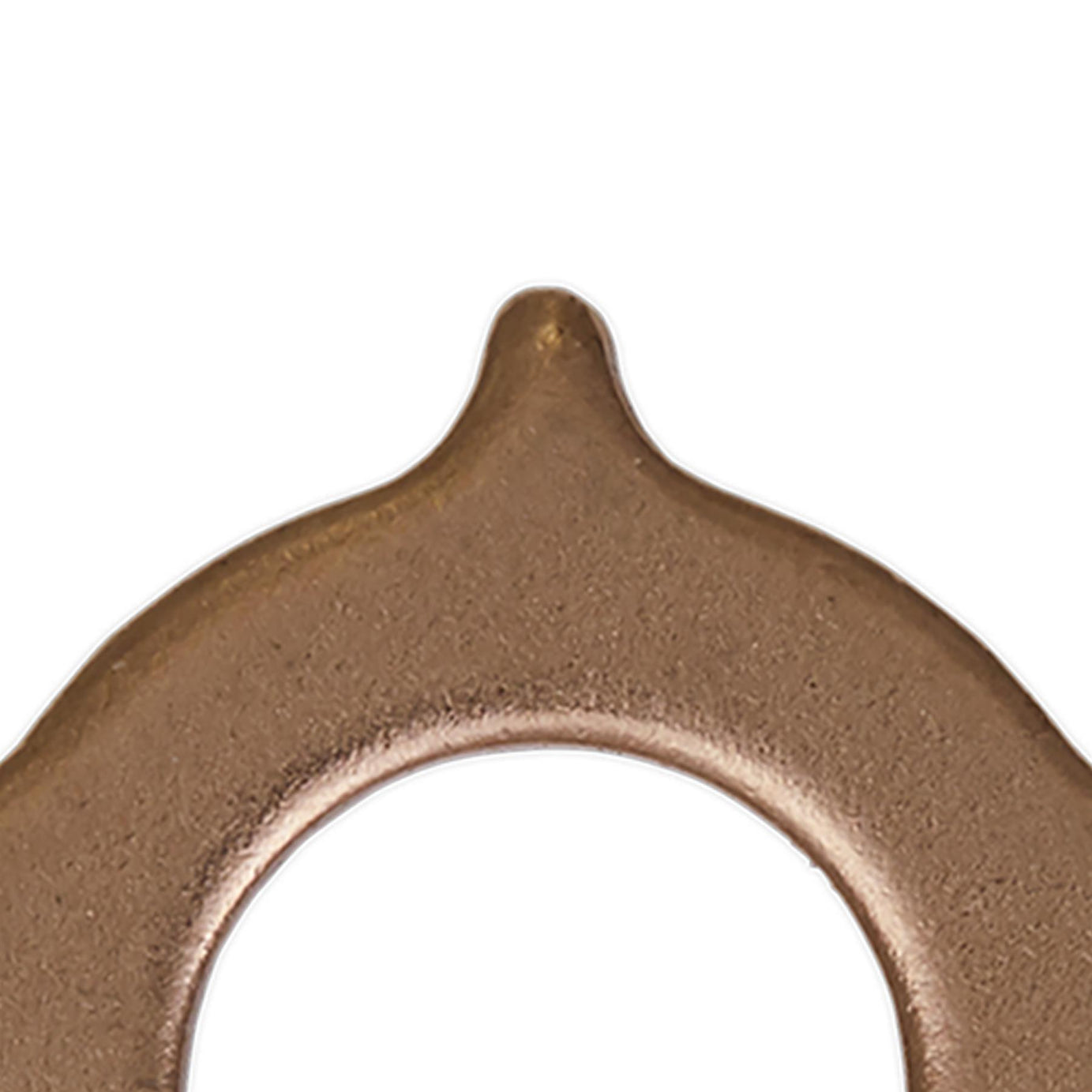 Sealey Star Washer For Model No. SR2000 Pack of 10