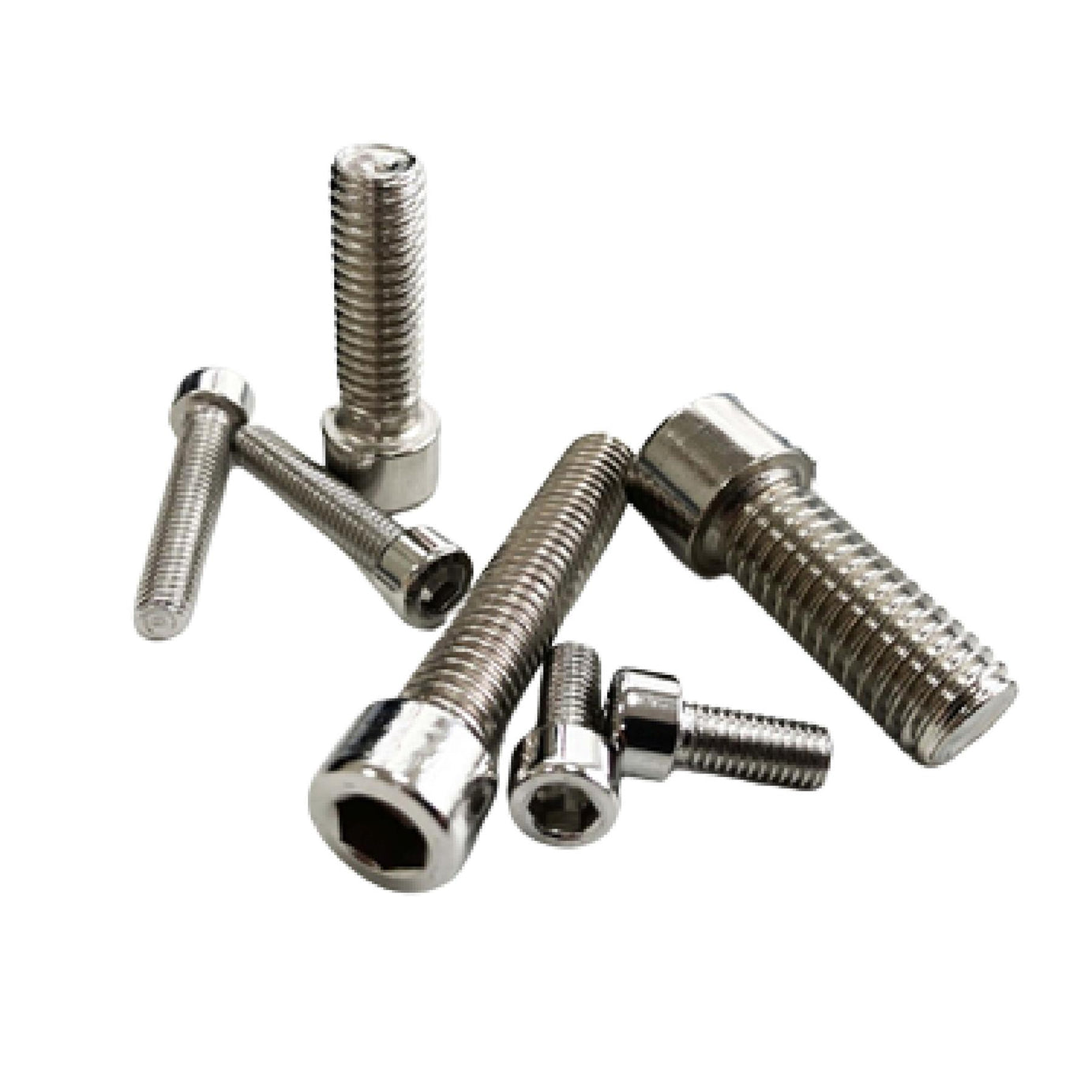 106Pcs Assorted Stainless Steel Hex Screws 201 S/S Hex Cap Bolts and Nuts