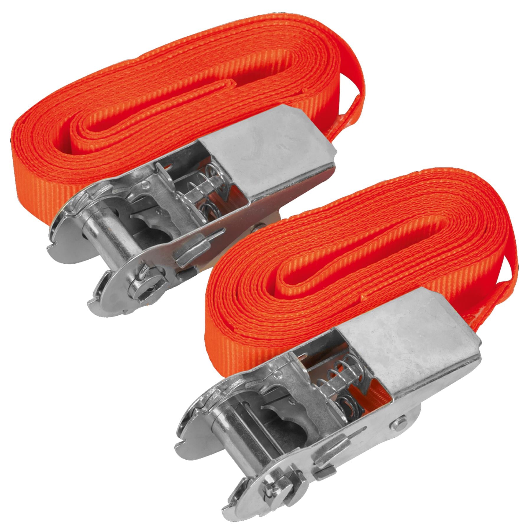 Sealey S/Securing Ratchet Tie Down 25mm x 4.5m 500kg Load - Pair
