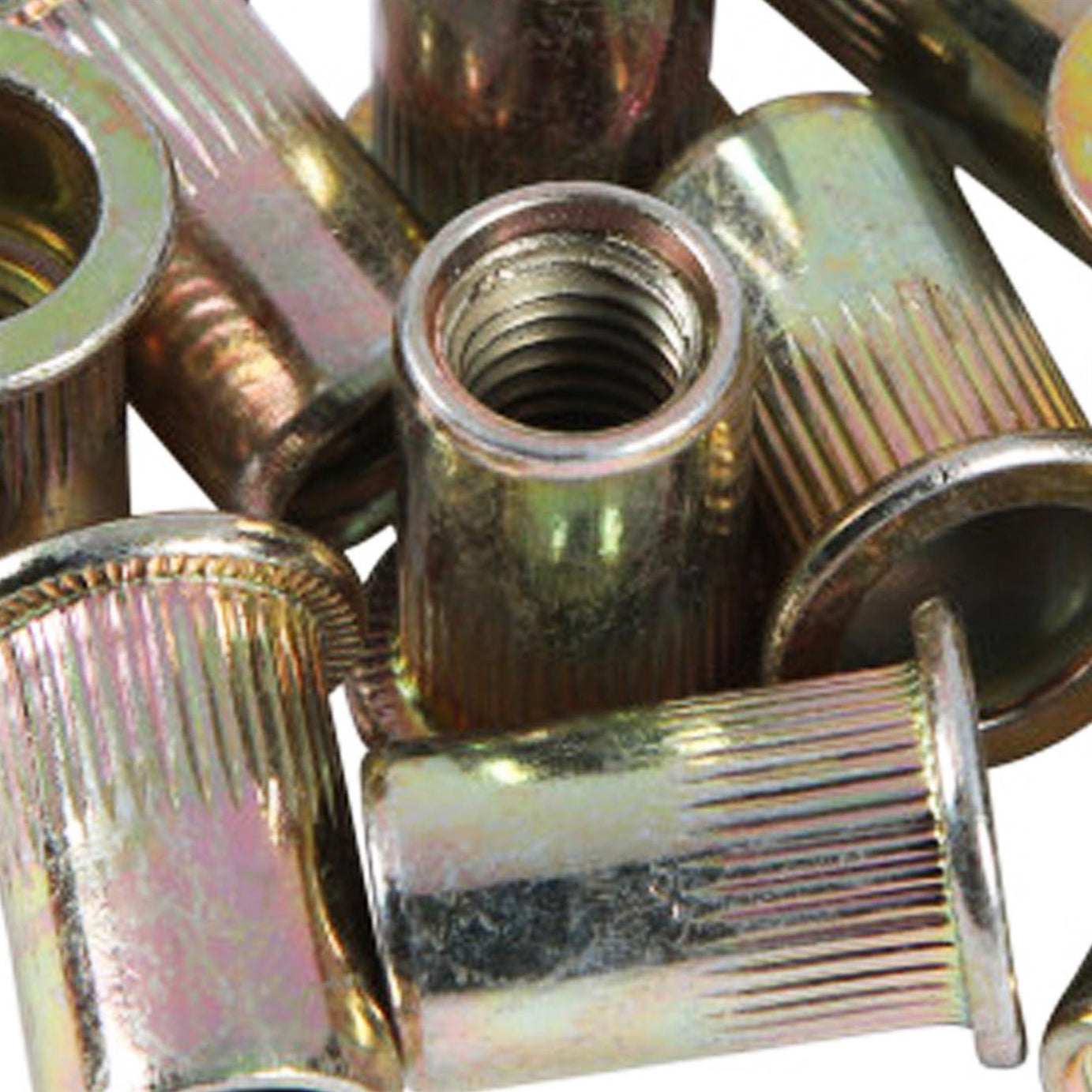 BlueSpot Rivet Nut Carbon Steel 45 PCE M10 Rivnut Threaded Insert Pack