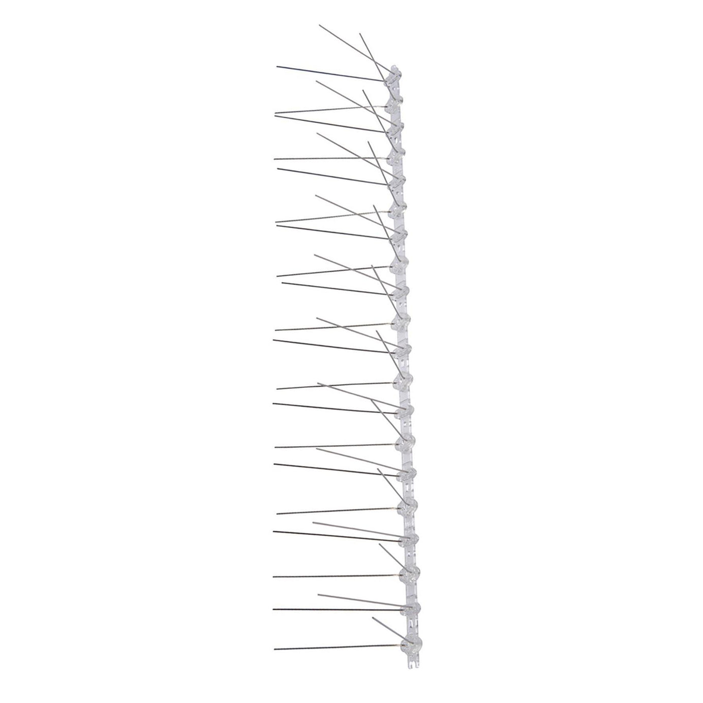 10Pk Bird Spikes 500mm (2 Spike) Polycarbonate Base With Stainless Steel Spike
